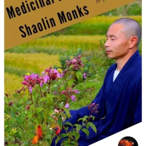 Medicinal Diet of Shaolin Monks for Prolonged Sitting