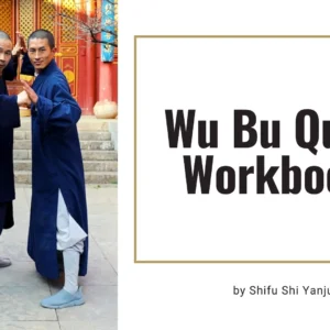 Wu Bu Quan Workbook