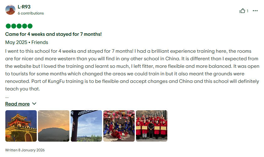 tripadvisor4